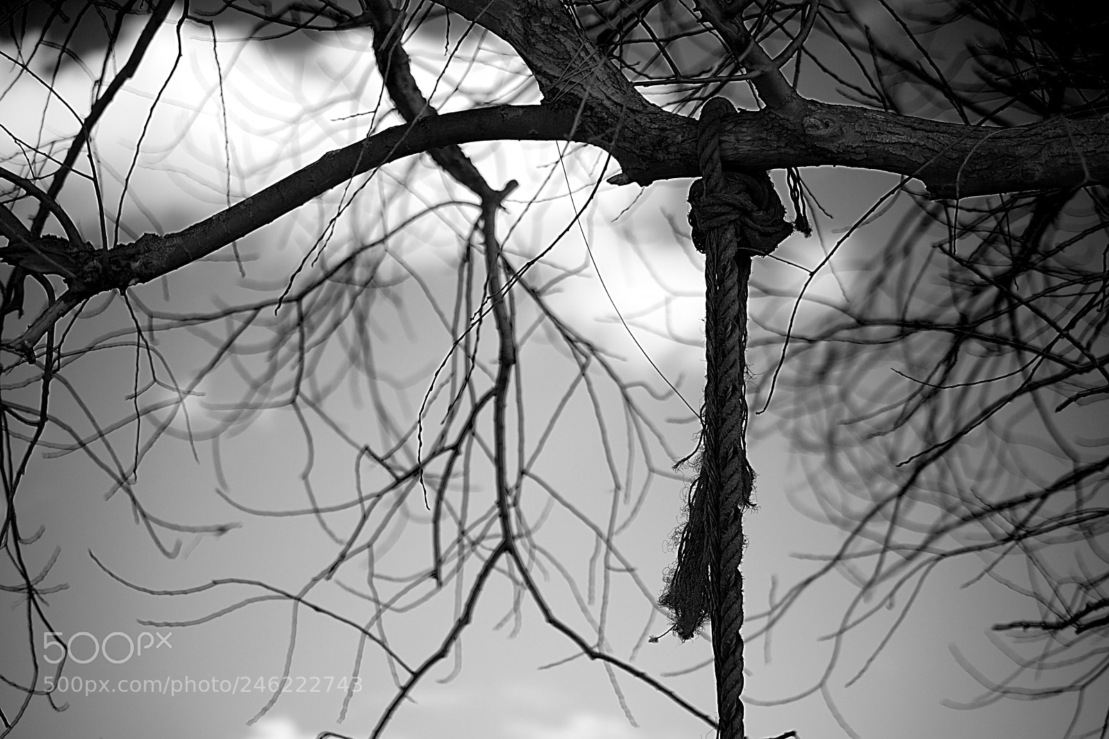 Fujifilm X-T2 sample photo. Untitled photography
