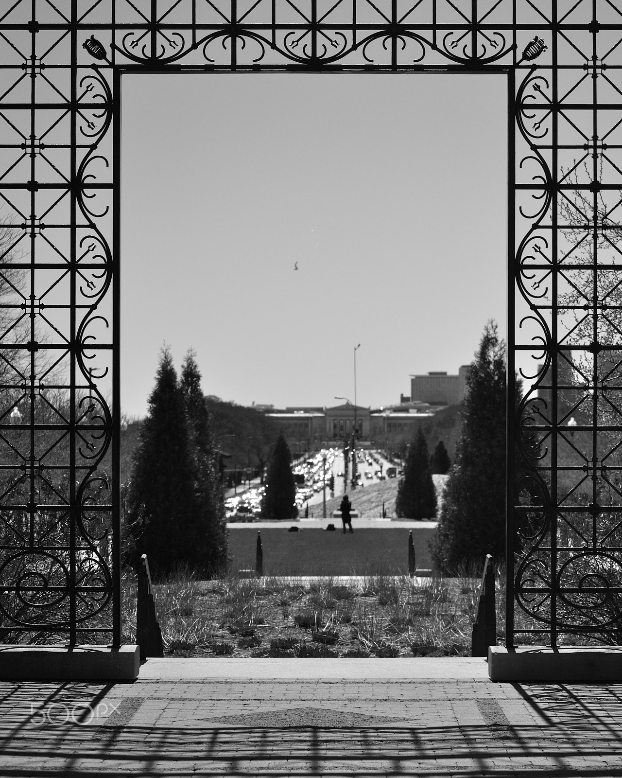 Nikon D3000 sample photo. Frame photography