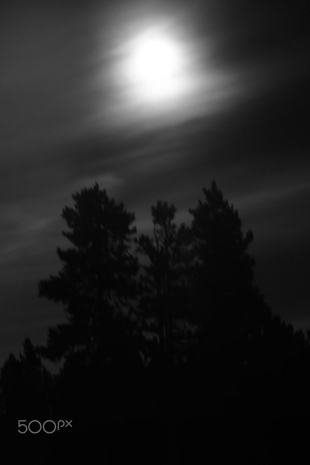 Nikon D7200 sample photo. Moon shadow 1 photography
