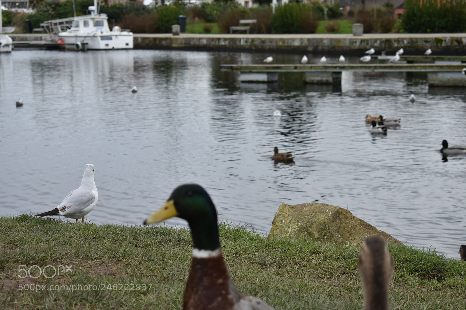Nikon D3400 sample photo. Hi human!!! photography
