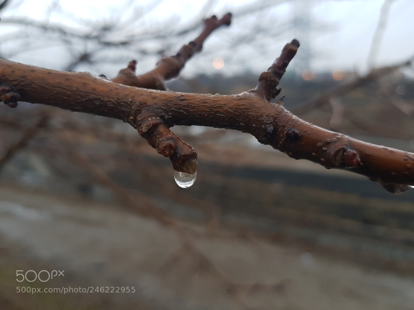 Samsung Galaxy S8+ sample photo. Untitled photography