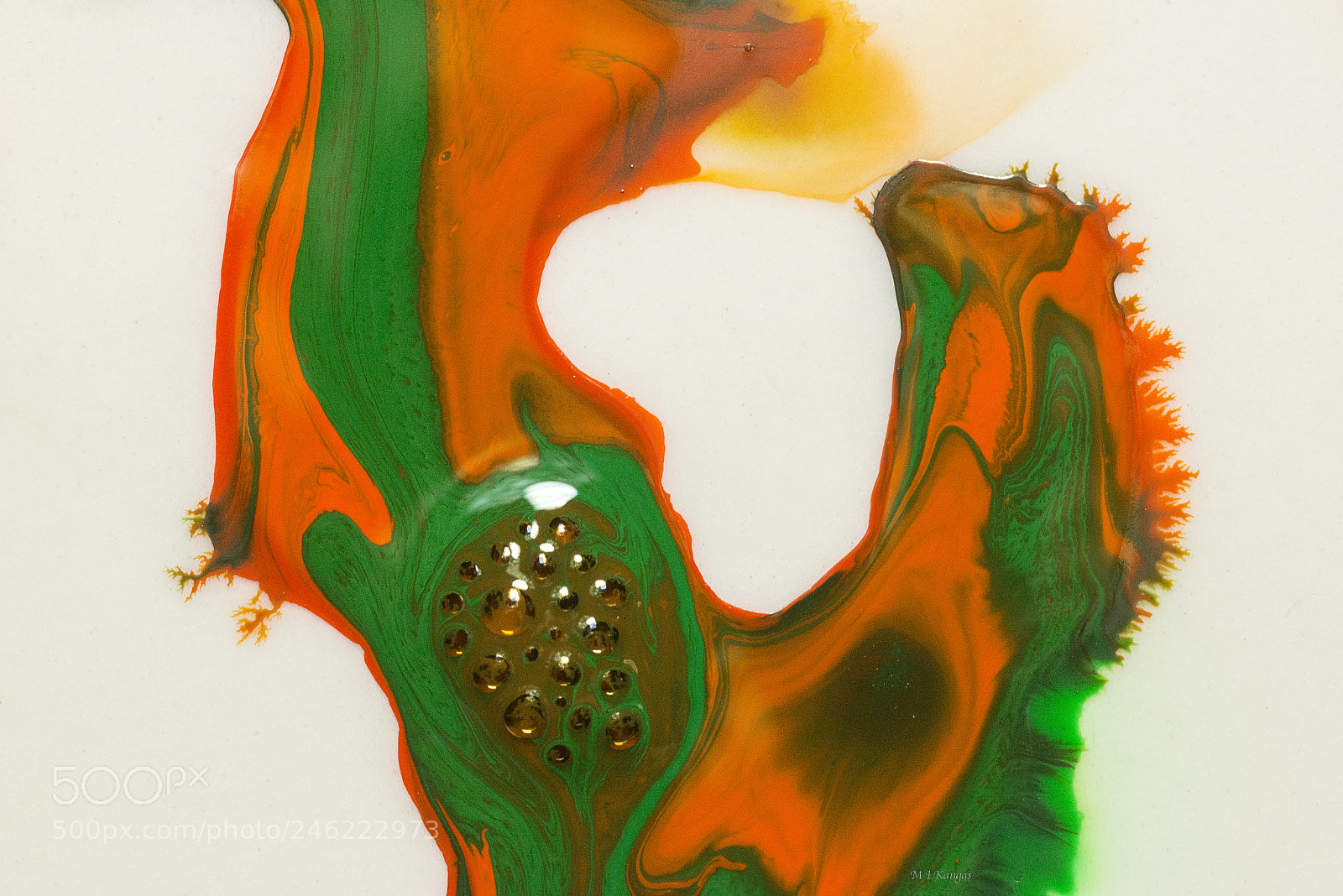 Nikon D610 sample photo. Green & orange photography