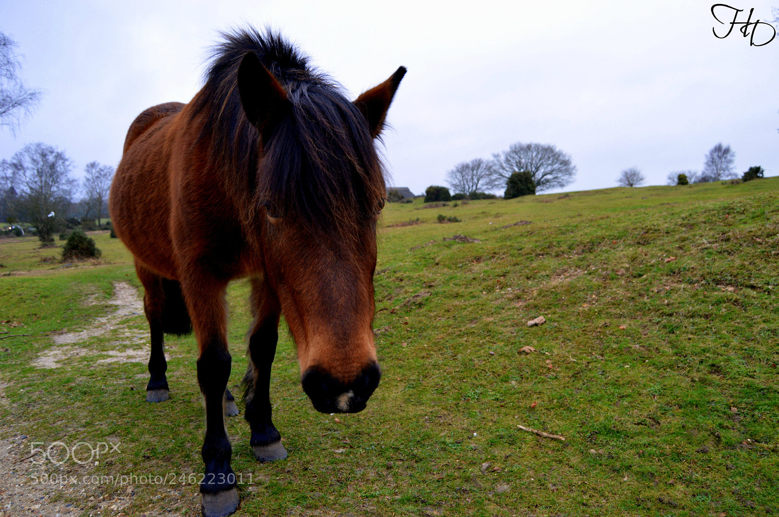 Nikon D3200 sample photo. Hello down there photography