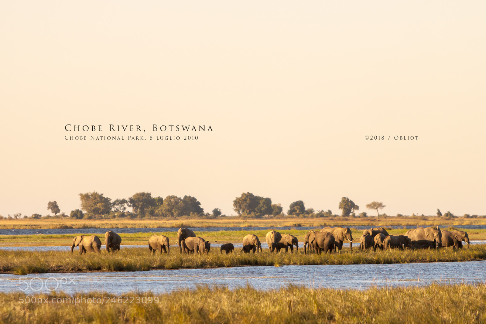 Canon EOS 50D sample photo. Chobe river, botswana photography