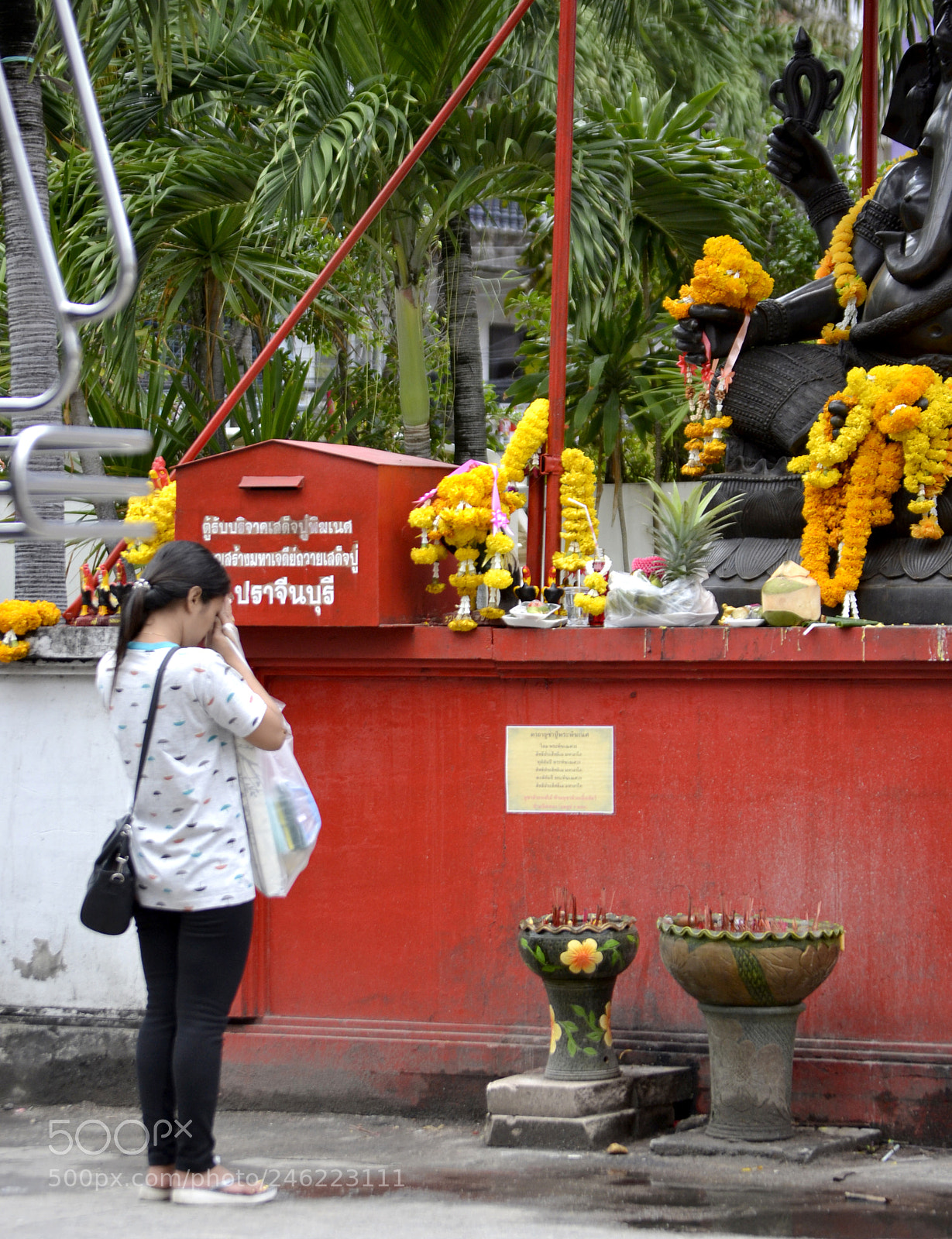 Nikon D3100 sample photo. 586.. photography