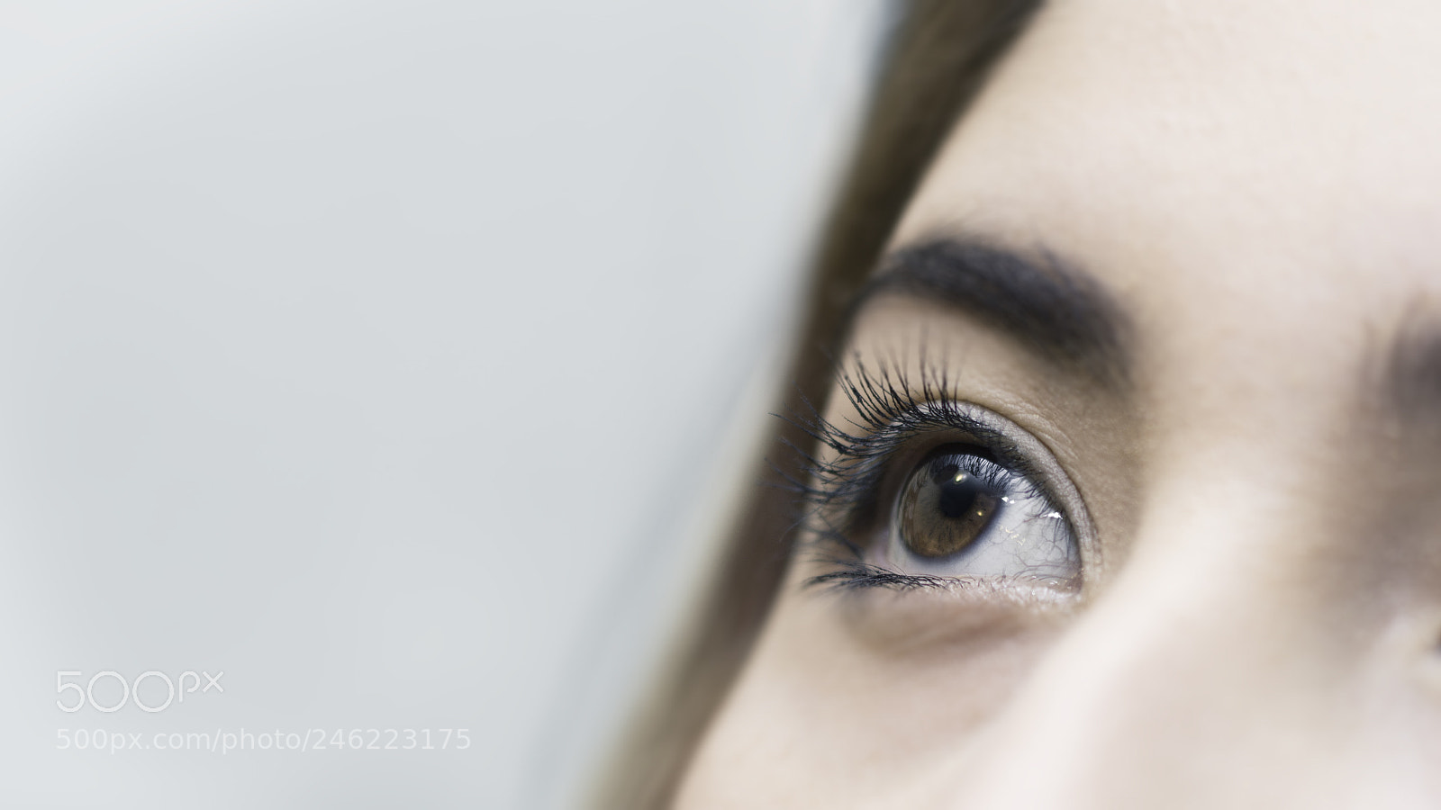 Nikon D3200 sample photo. High key i photography