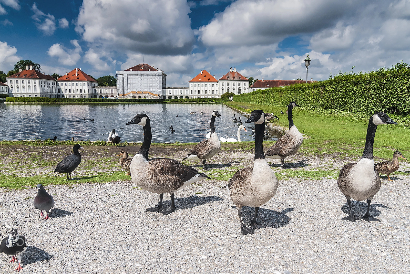 Nikon D300 sample photo. Nymphenburg palace photography