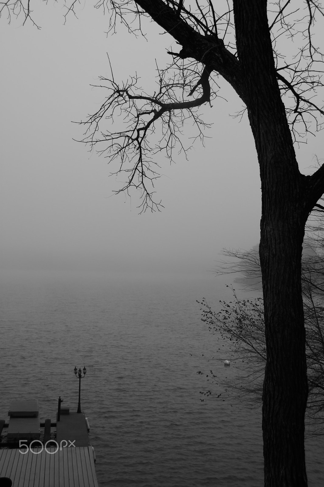 Nikon D7200 sample photo. Docks 1 photography