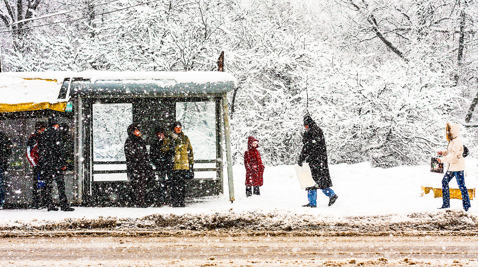 Canon EOS 40D sample photo. Snowfall photography