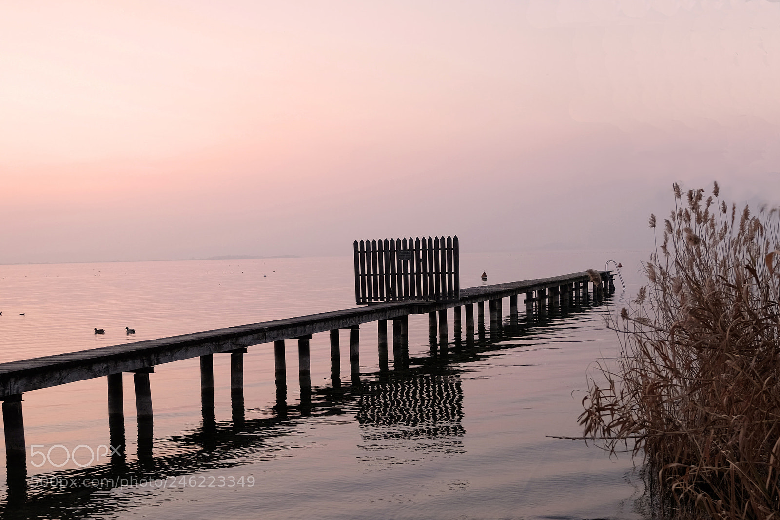 Fujifilm X-T1 sample photo. Gate photography