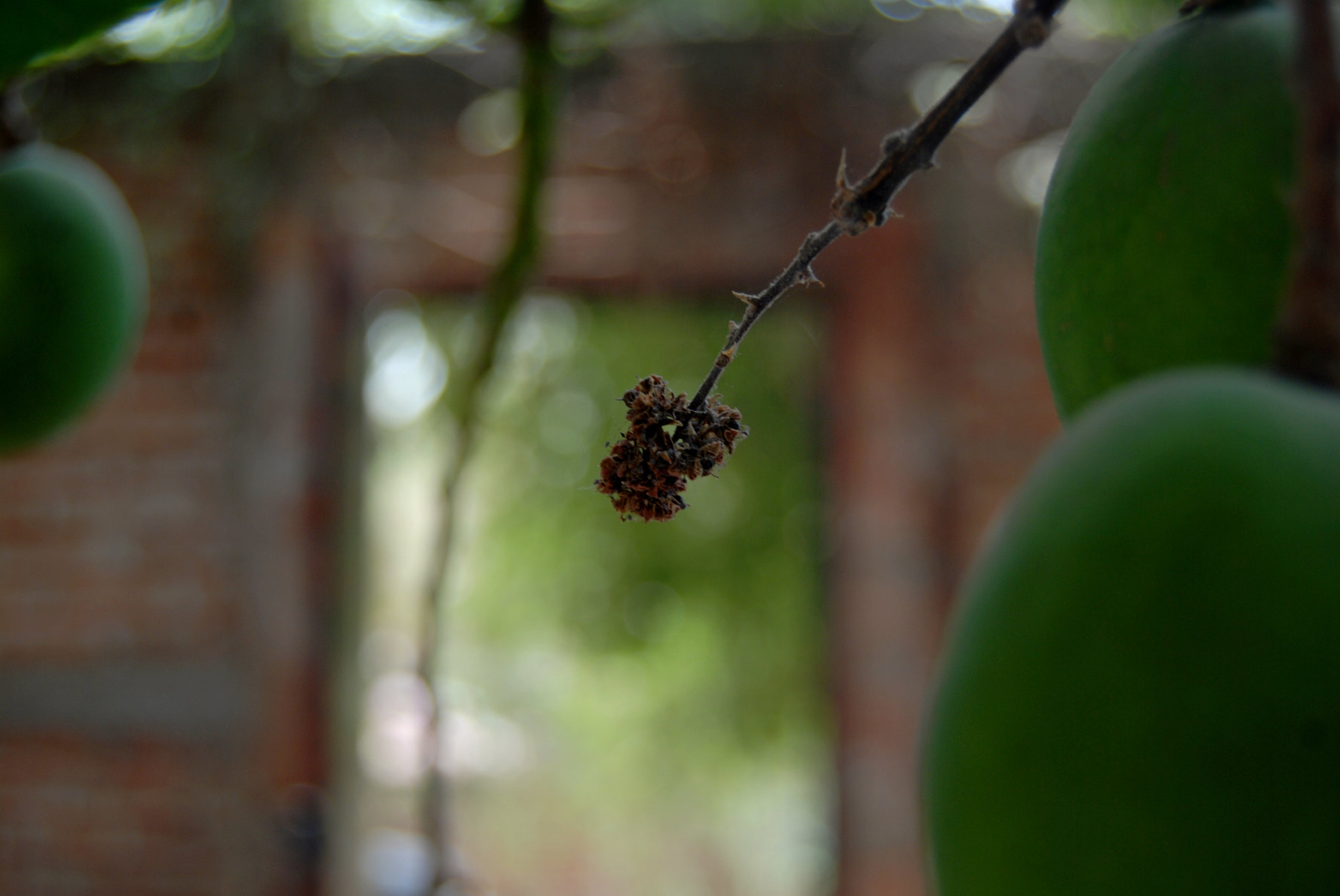 Nikon D40X sample photo. Door photography