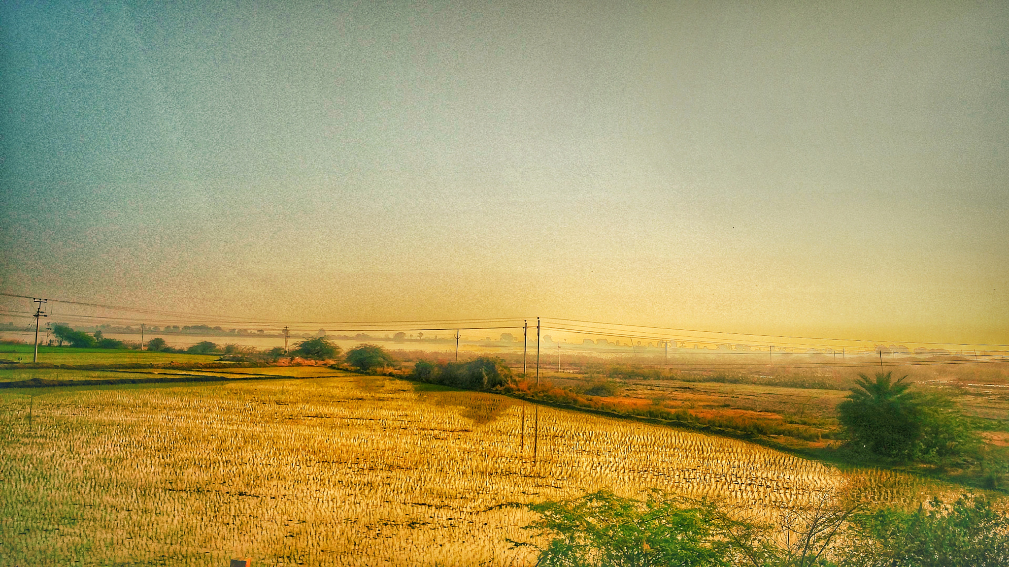 OnePlus 2 sample photo. Greenfields of peddapalli photography