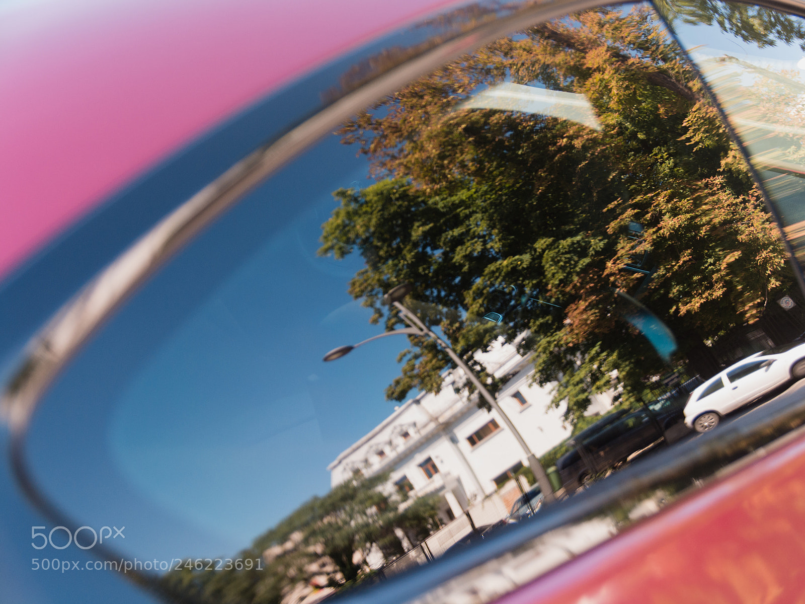 Nikon D7100 sample photo. Untitled photography