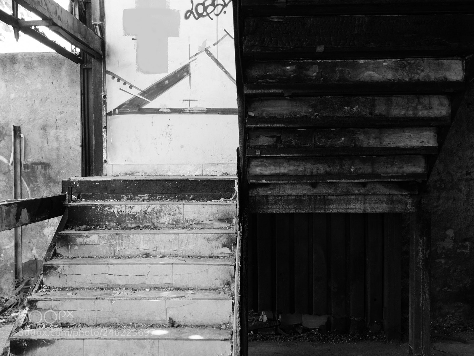 Nikon D7100 sample photo. Untitled photography