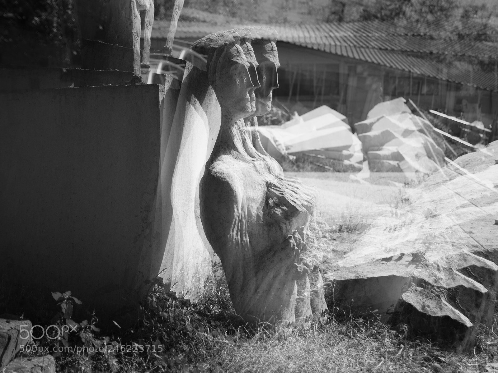 Nikon D7100 sample photo. Untitled photography