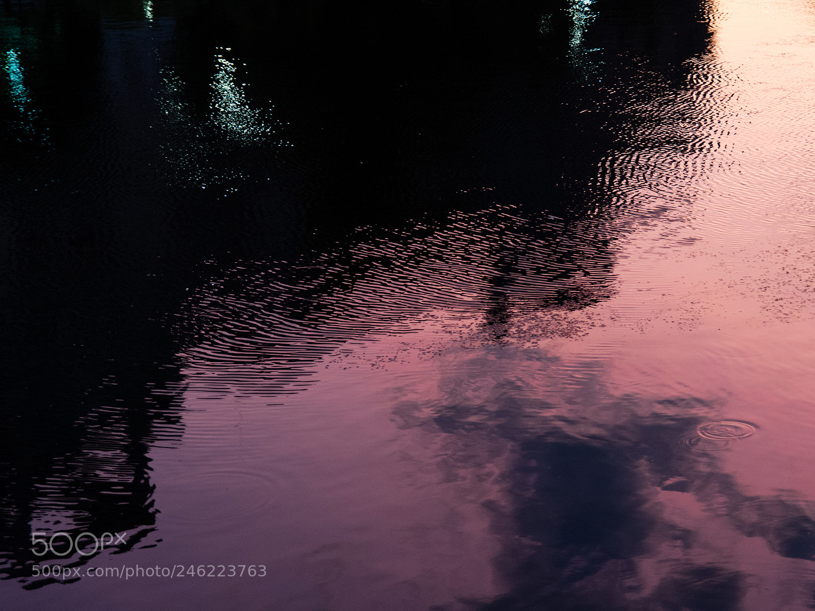 Nikon D7100 sample photo. Untitled photography
