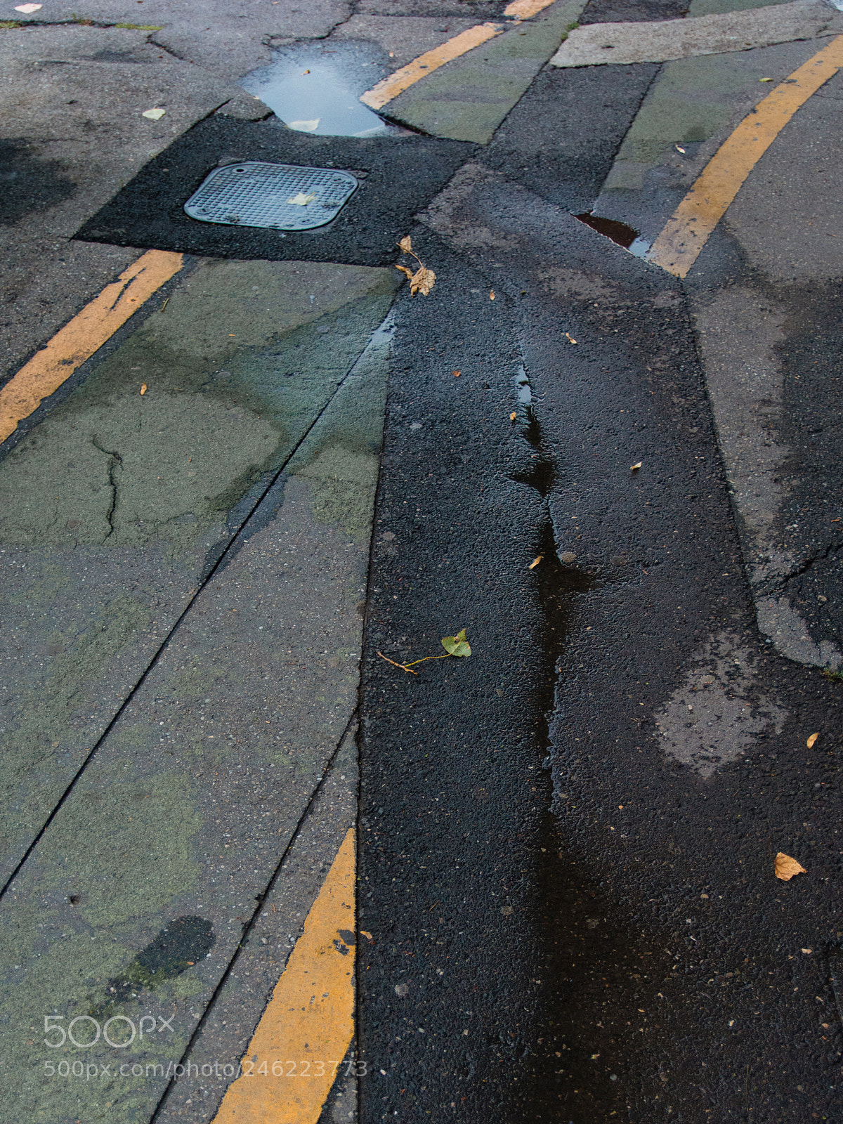 Nikon D7100 sample photo. Untitled photography