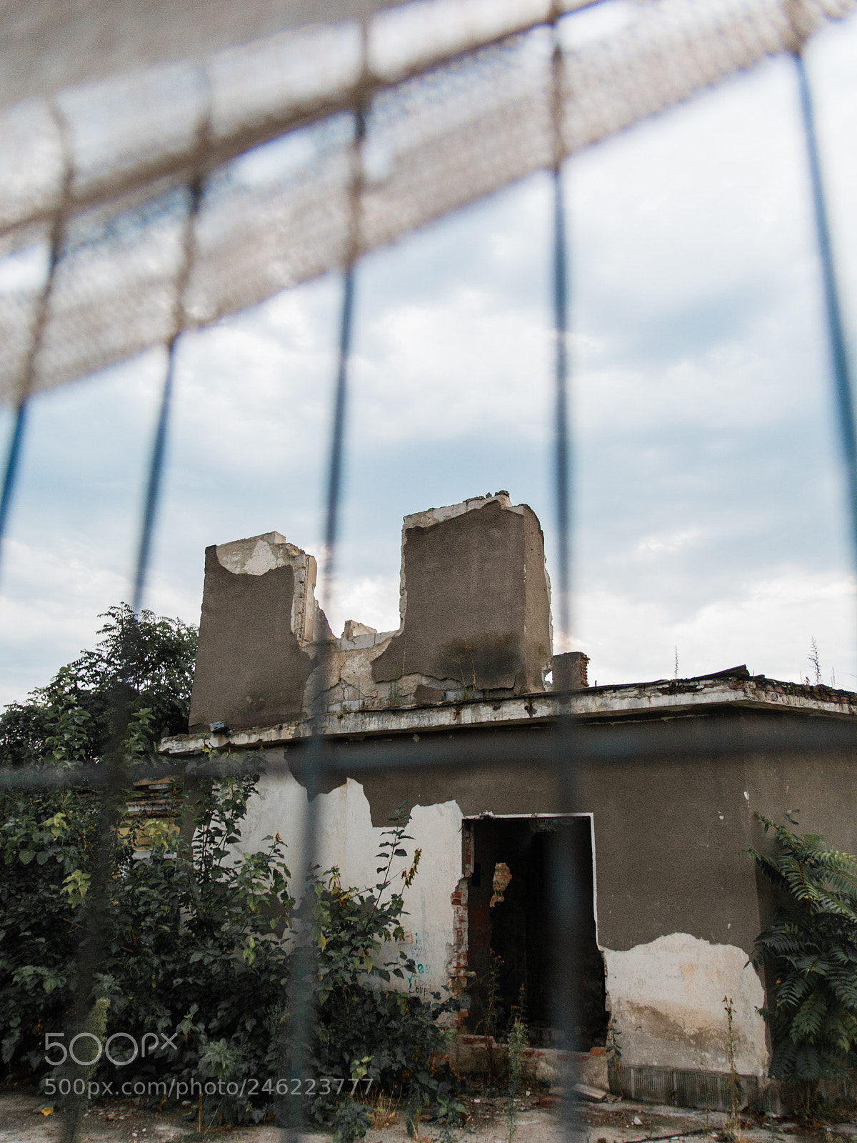 Nikon D7100 sample photo. Untitled photography