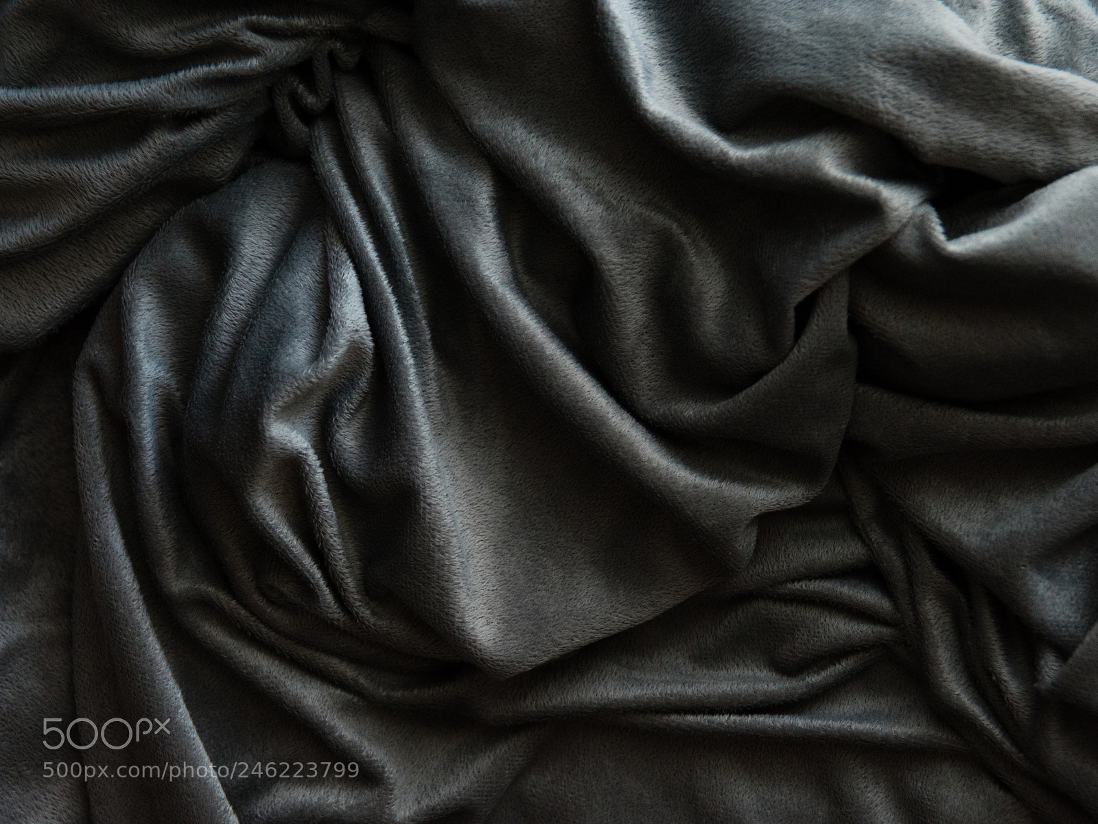 Nikon D7100 sample photo. Untitled photography