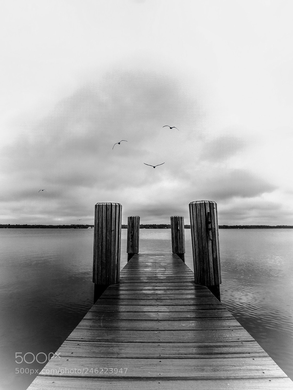 Canon PowerShot SX60 HS sample photo. Fleming island dock b photography