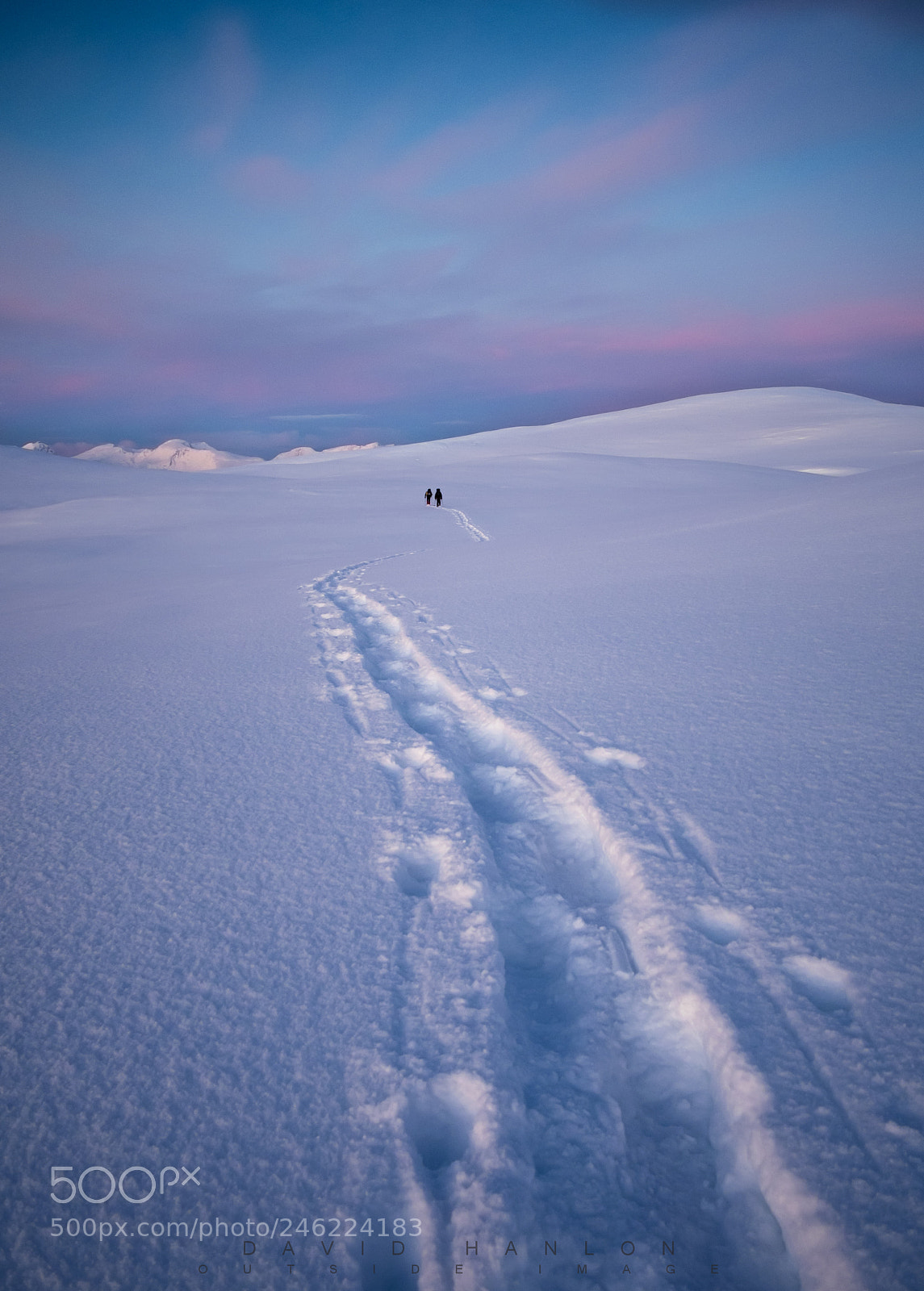Olympus OM-D E-M1 sample photo. Dream walk photography