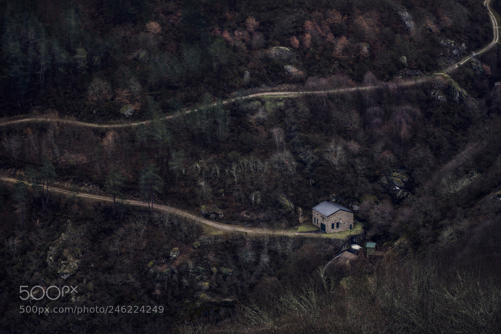 Nikon D7100 sample photo. The way to home photography