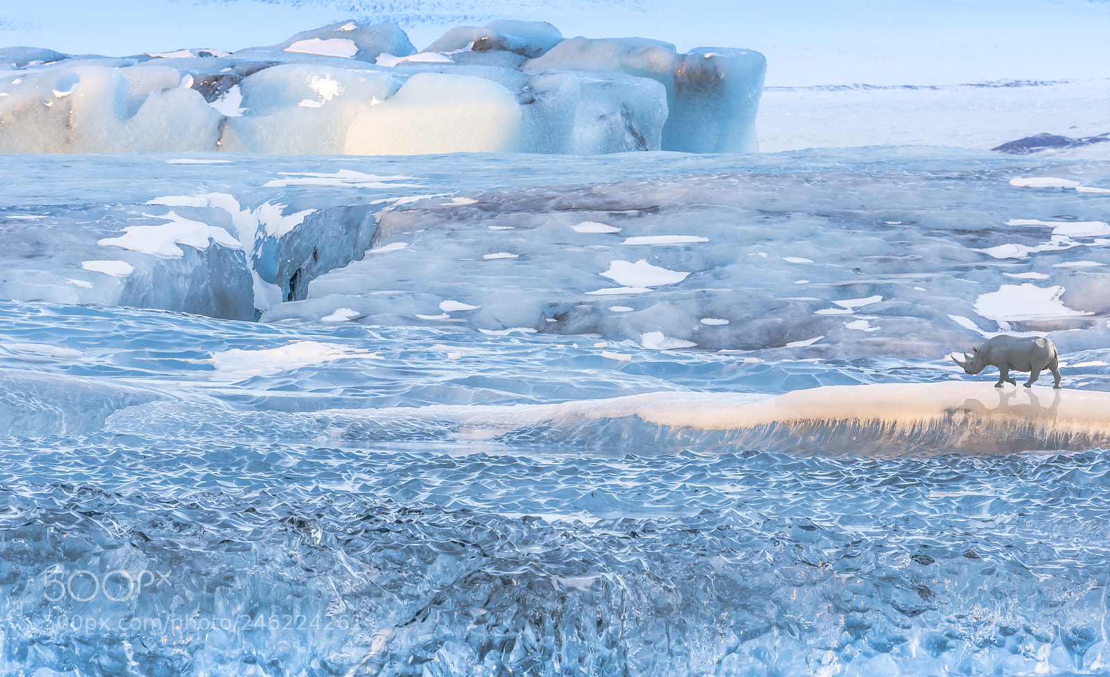 Nikon D7200 sample photo. Climate refugee photography