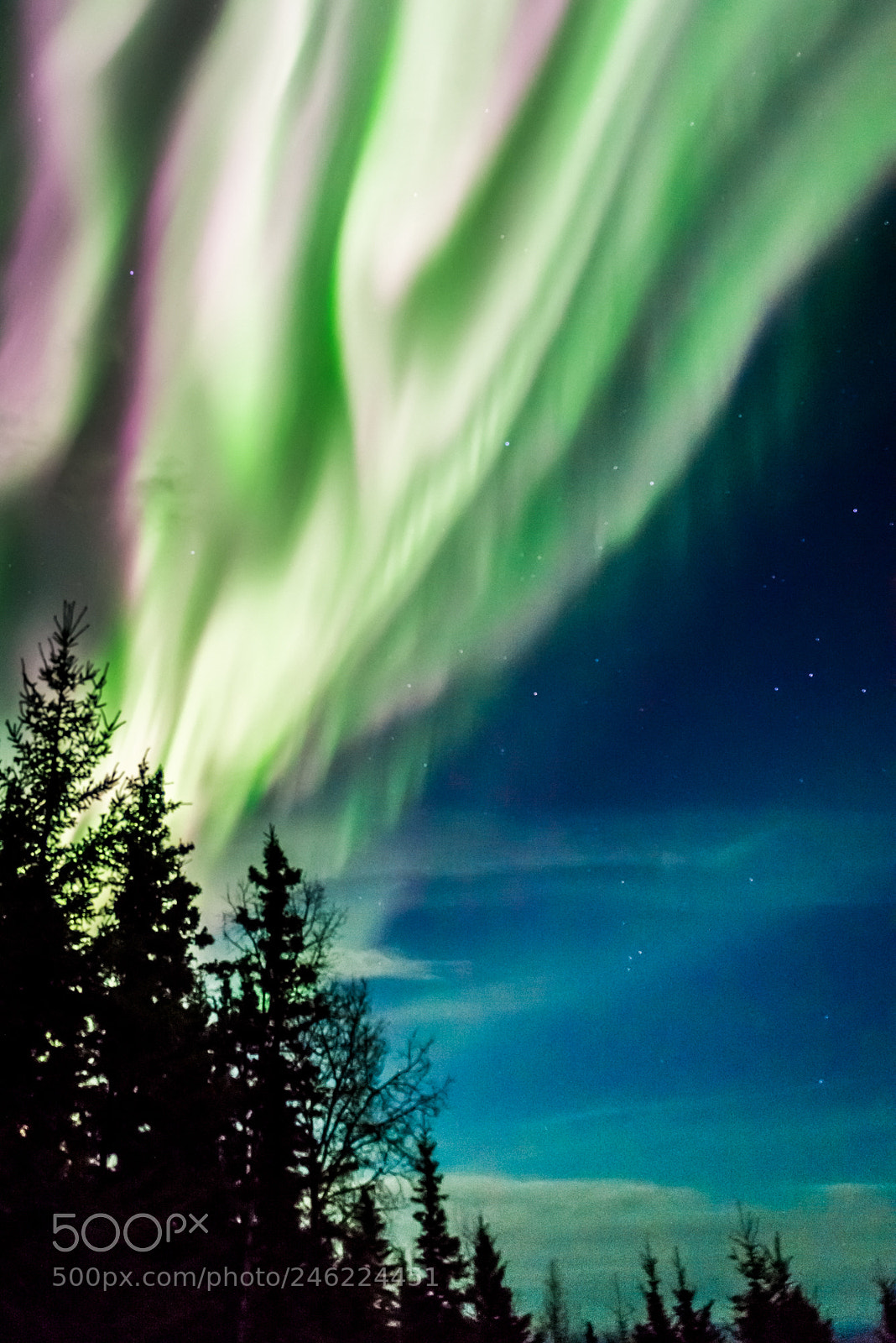 Nikon D800 sample photo. Interior alaska aurora photography