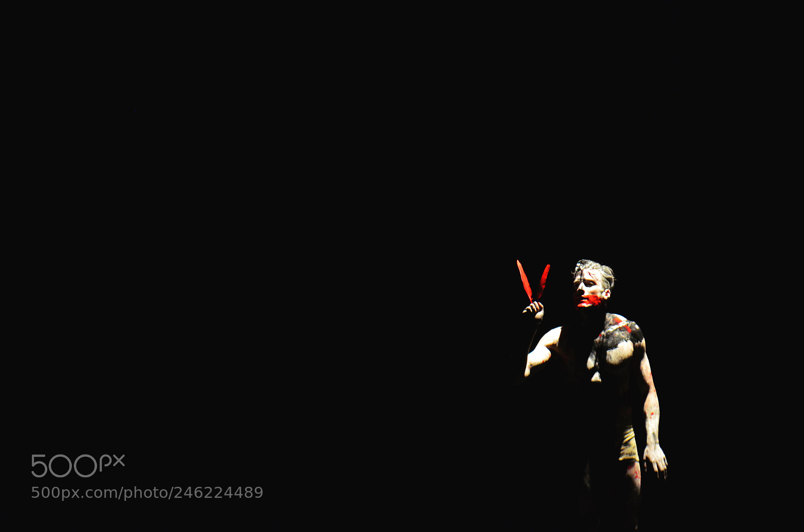 Nikon D5100 sample photo. Embrace chaos photography