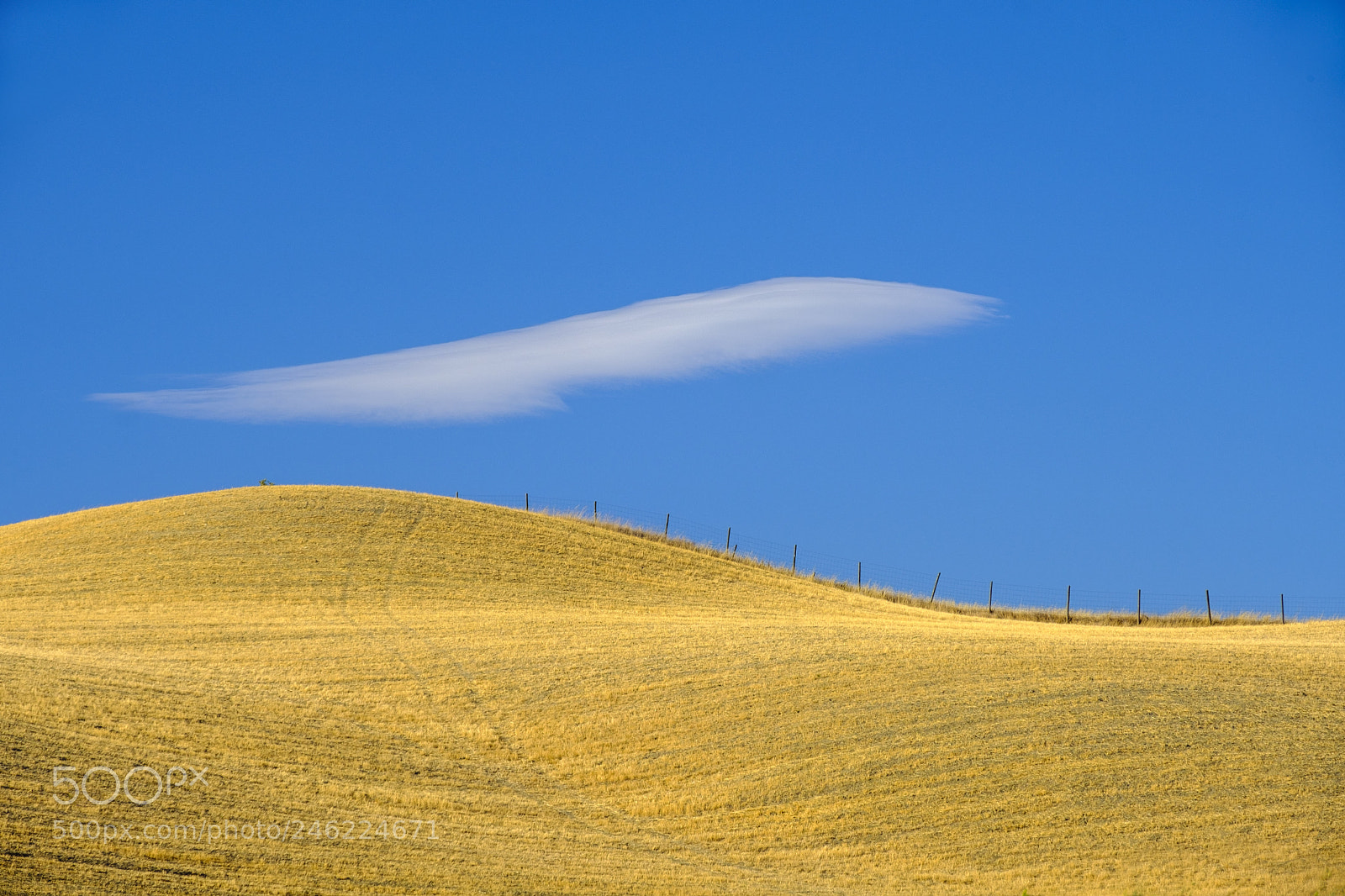 Fujifilm X-T20 sample photo. Summer landscape near asciano photography
