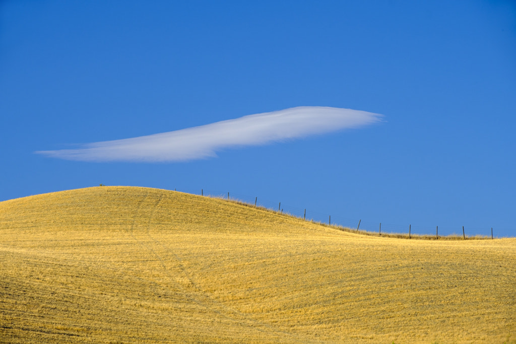 Summer landscape near Asciano by Claudio G. Colombo on 500px.com