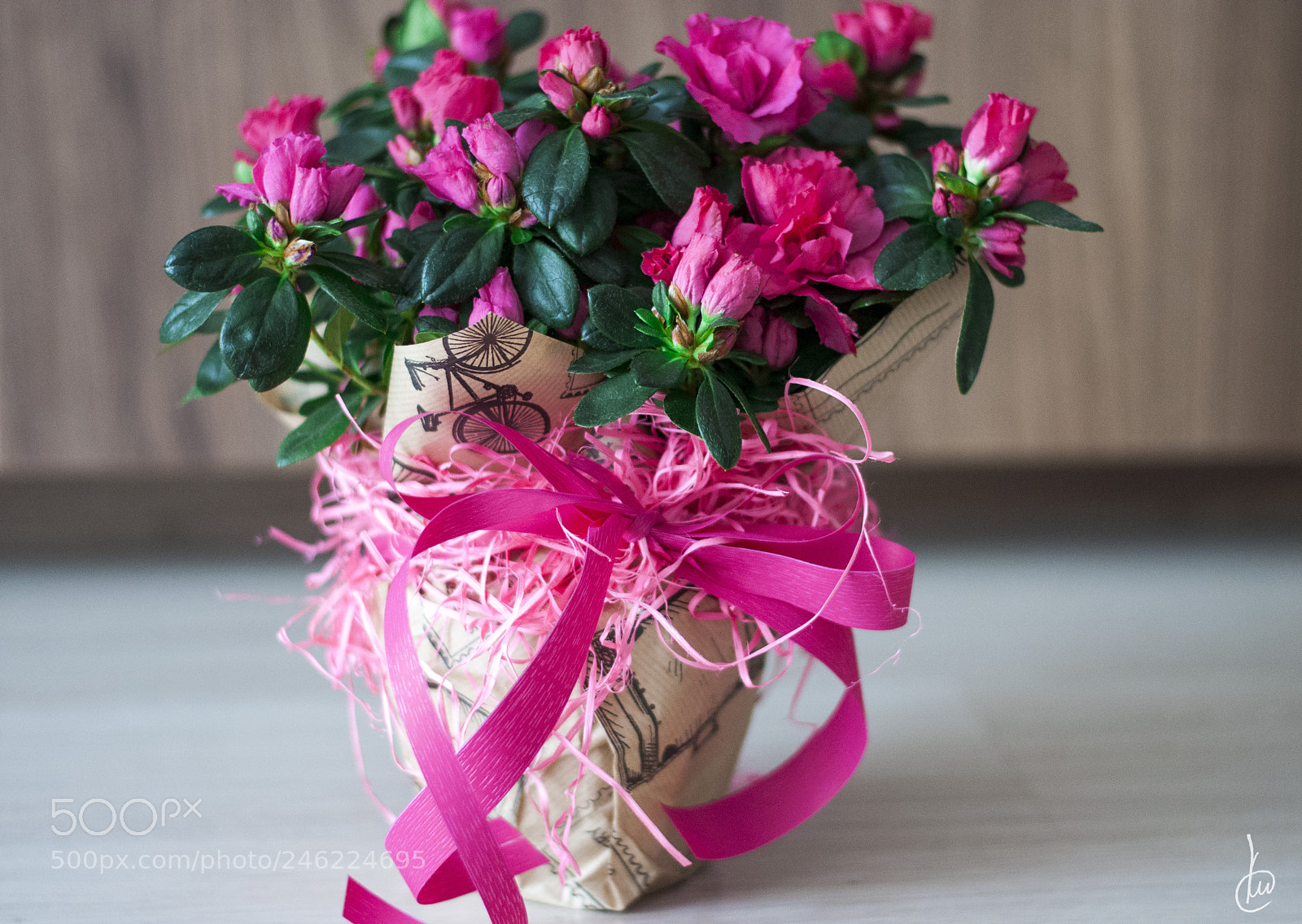 Nikon D90 sample photo. New family buddy photography