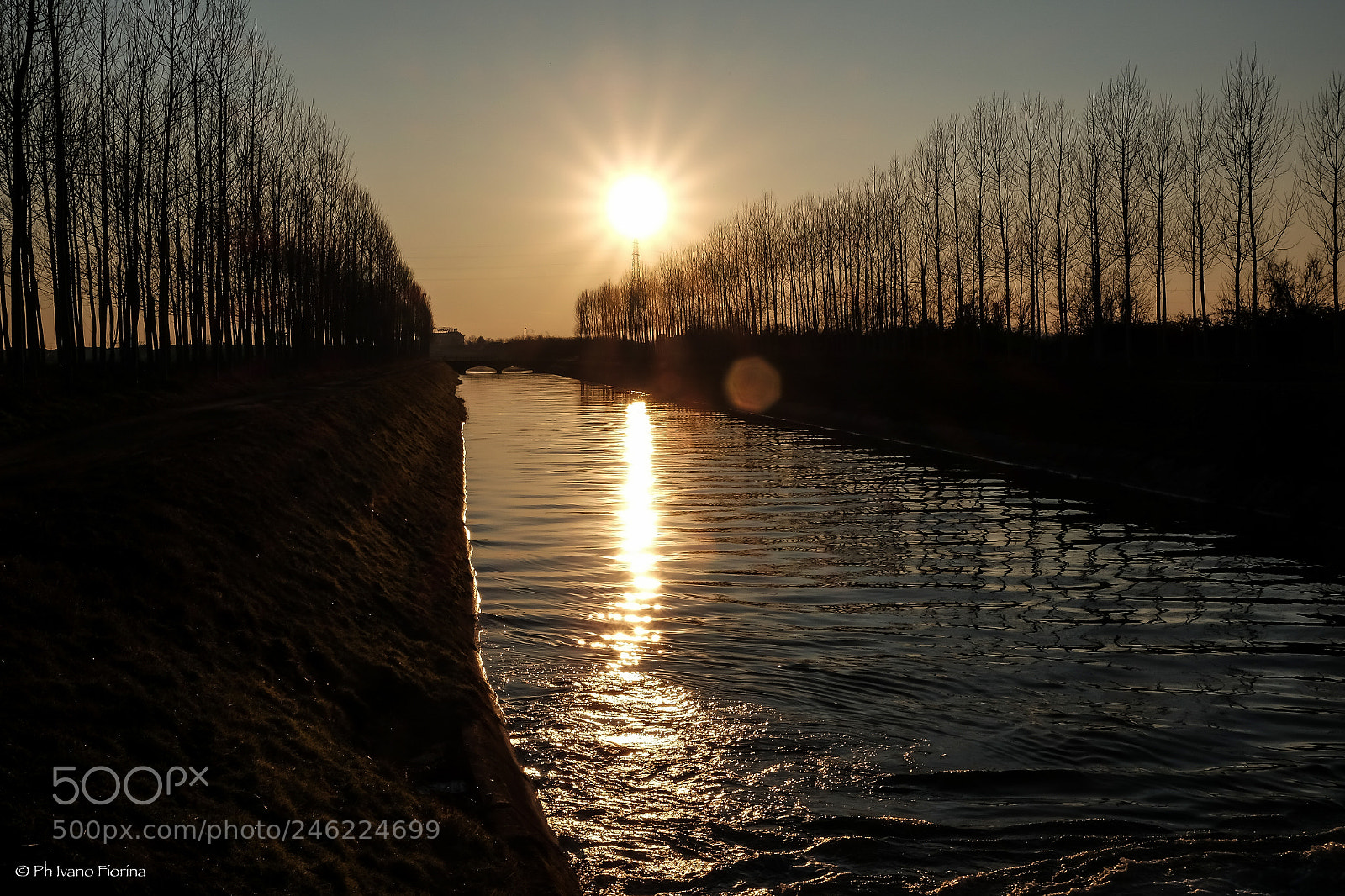 Fujifilm X-E2S sample photo. Sunshine... photography