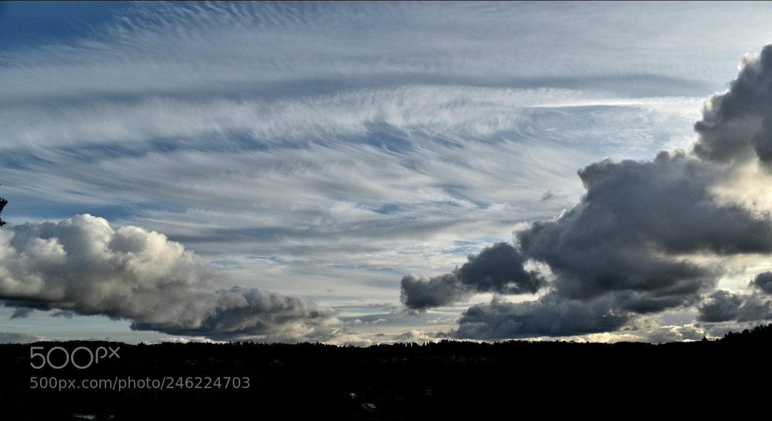 Nikon D5600 sample photo. Sky photography