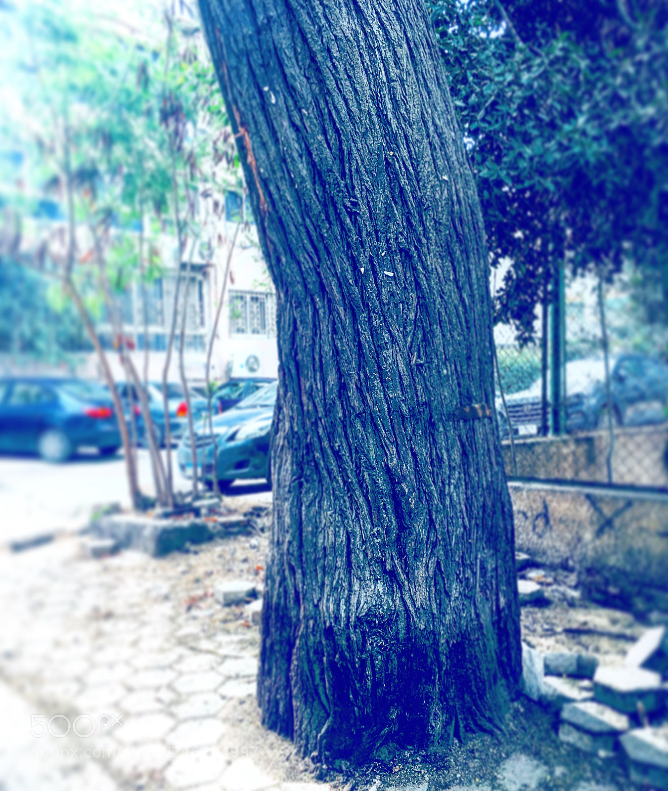 Apple iPhone 6s Plus sample photo. Untitled photography