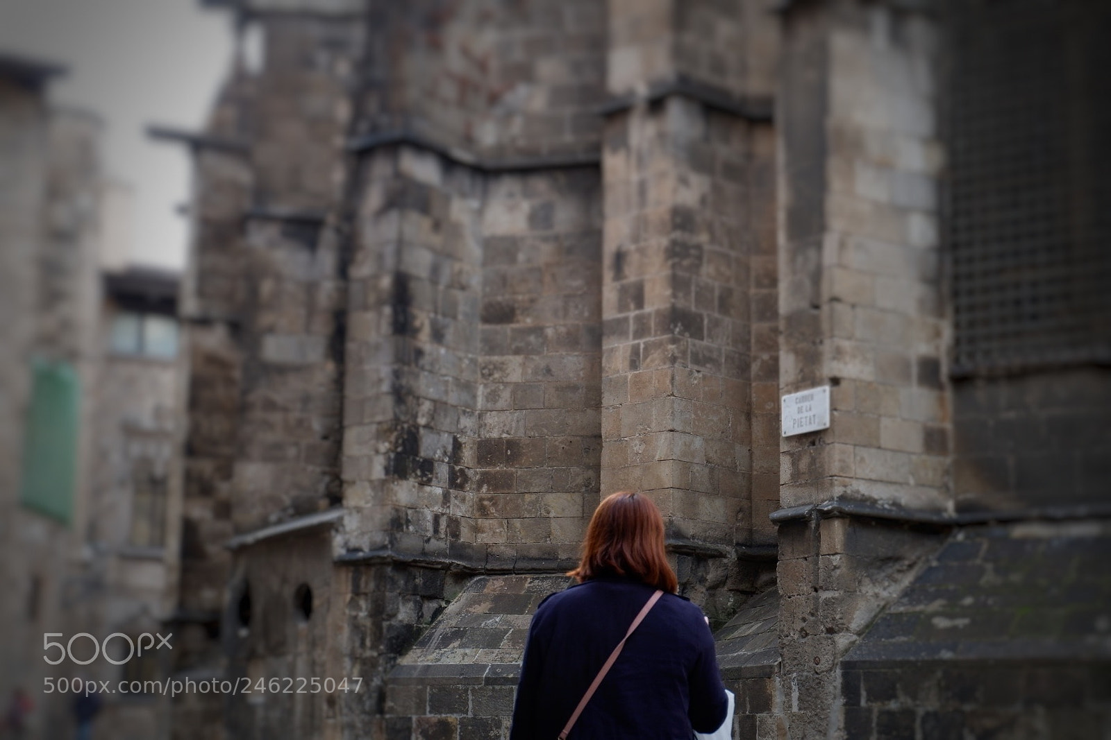 Fujifilm X-A10 sample photo. Her... photography