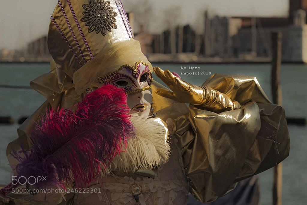 Canon EOS 60D sample photo. Carnival - no more photography