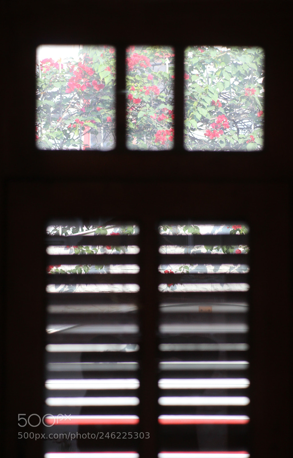Canon EOS 600D (Rebel EOS T3i / EOS Kiss X5) sample photo. Mirza kuchak house photography