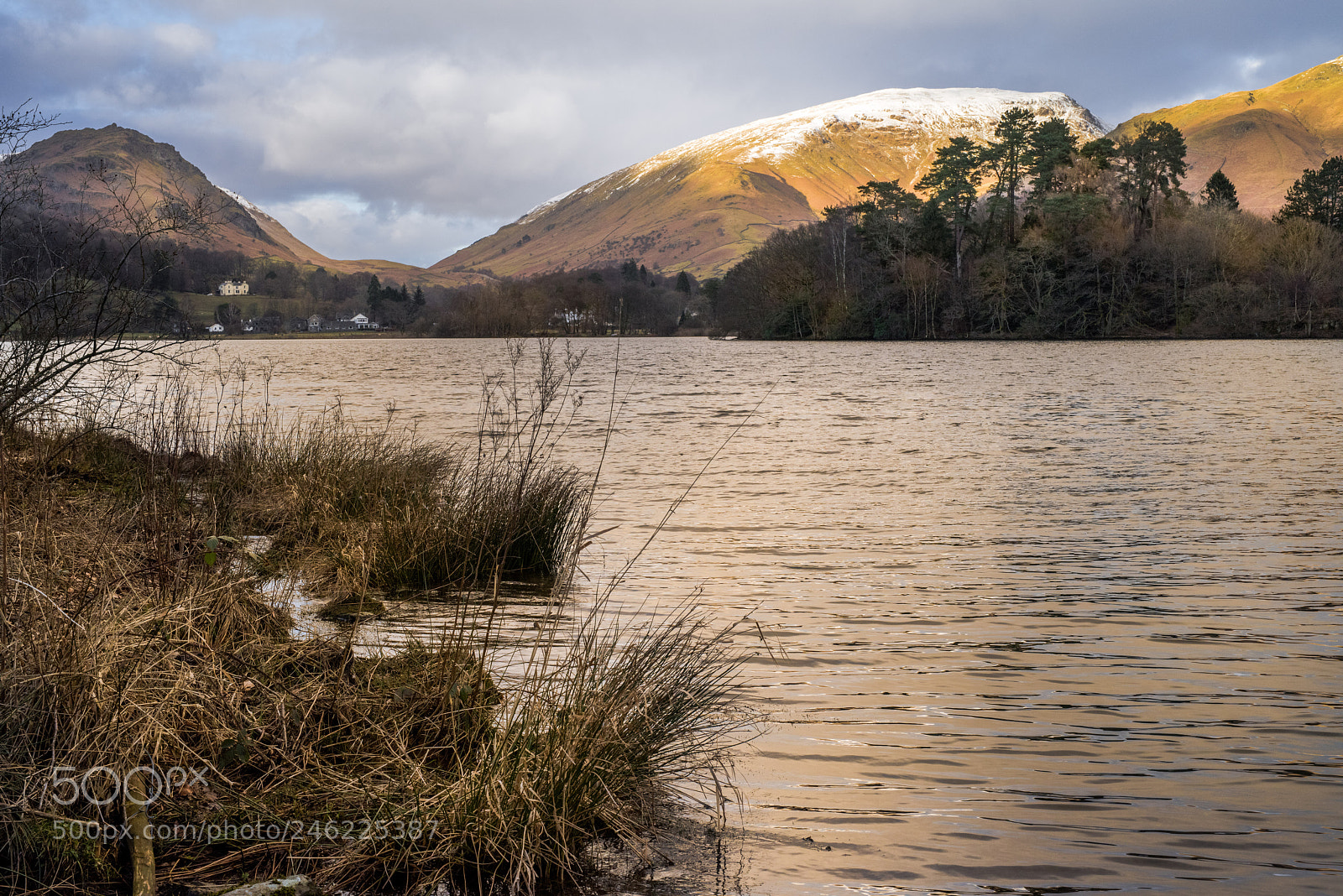 Nikon D810 sample photo. Grasmere photography