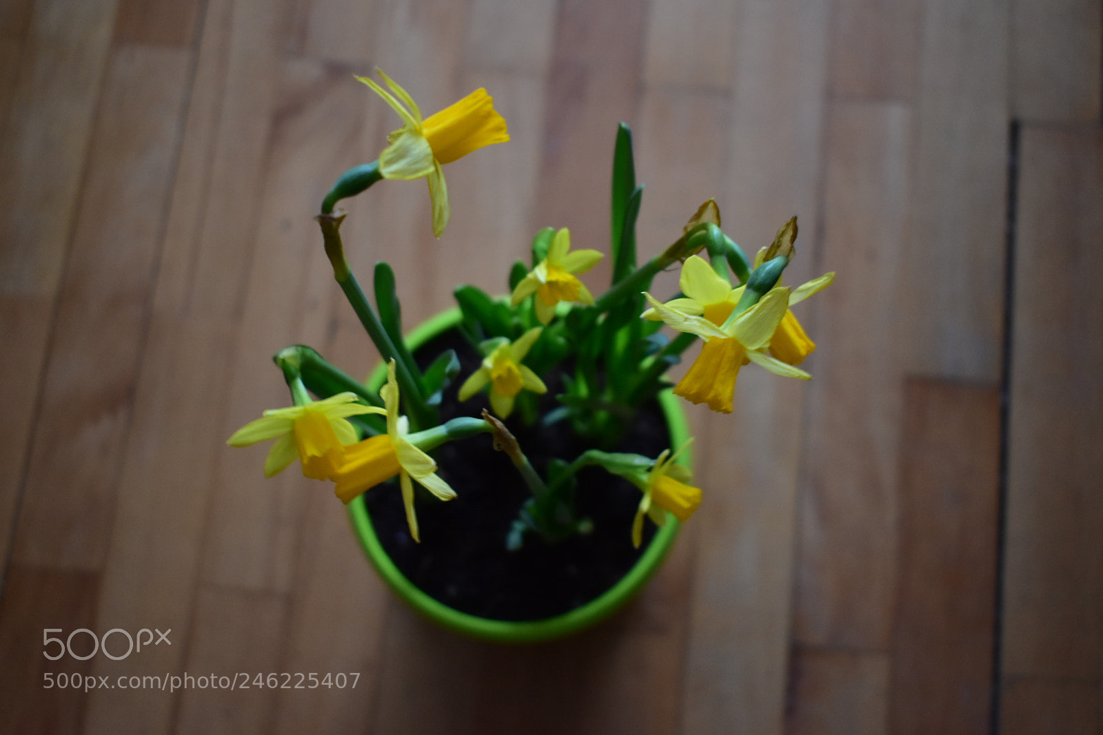 Nikon D5600 sample photo. Untitled photography