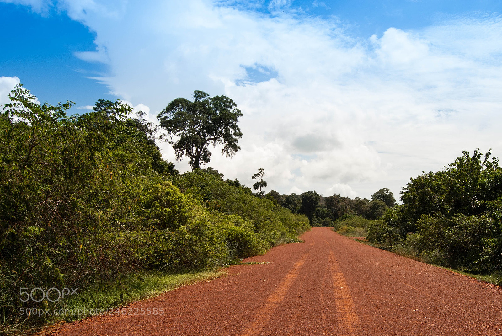 Nikon D3000 sample photo. Ream national park photography