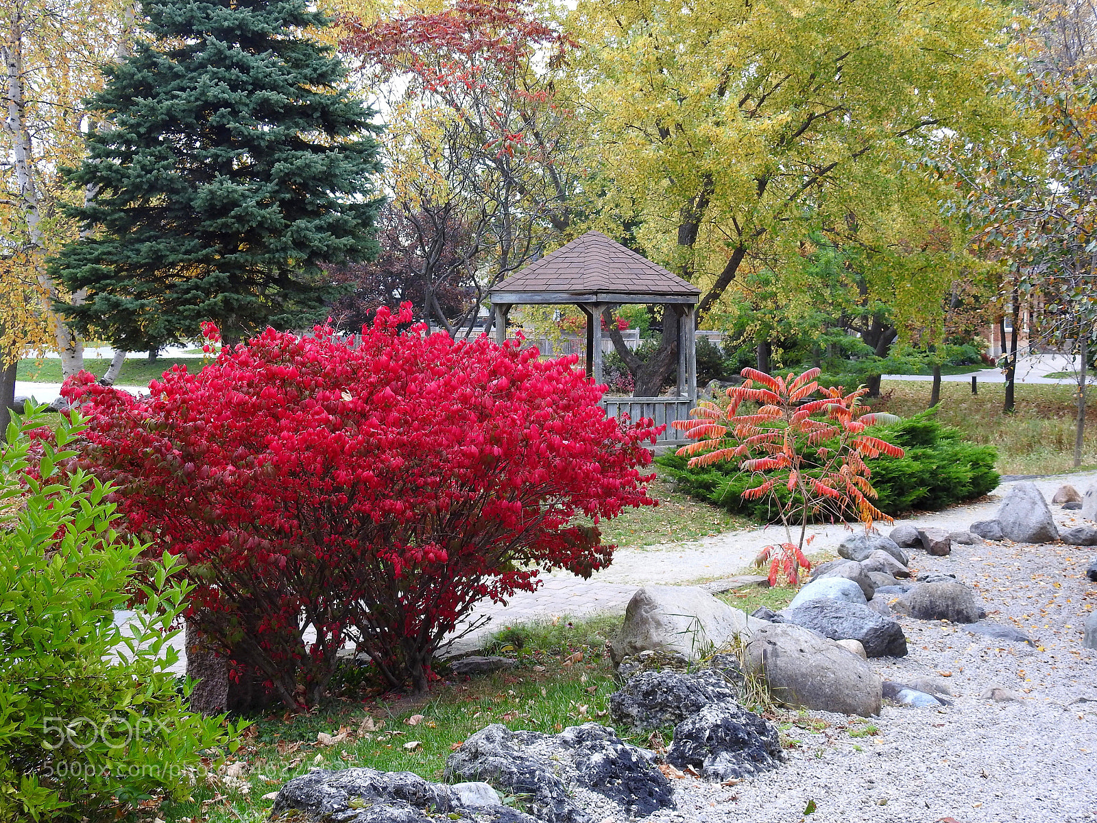 Nikon Coolpix P900 sample photo. Gazebo fall photography