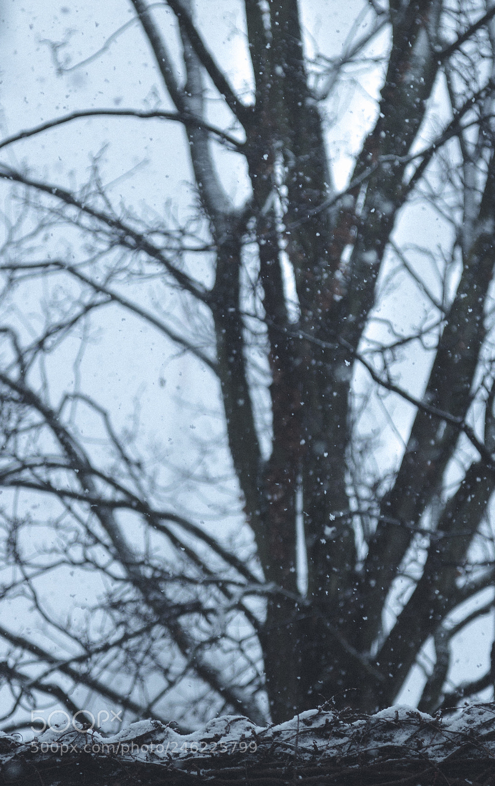 Canon EOS 760D (EOS Rebel T6s / EOS 8000D) sample photo. Snowy view out of photography