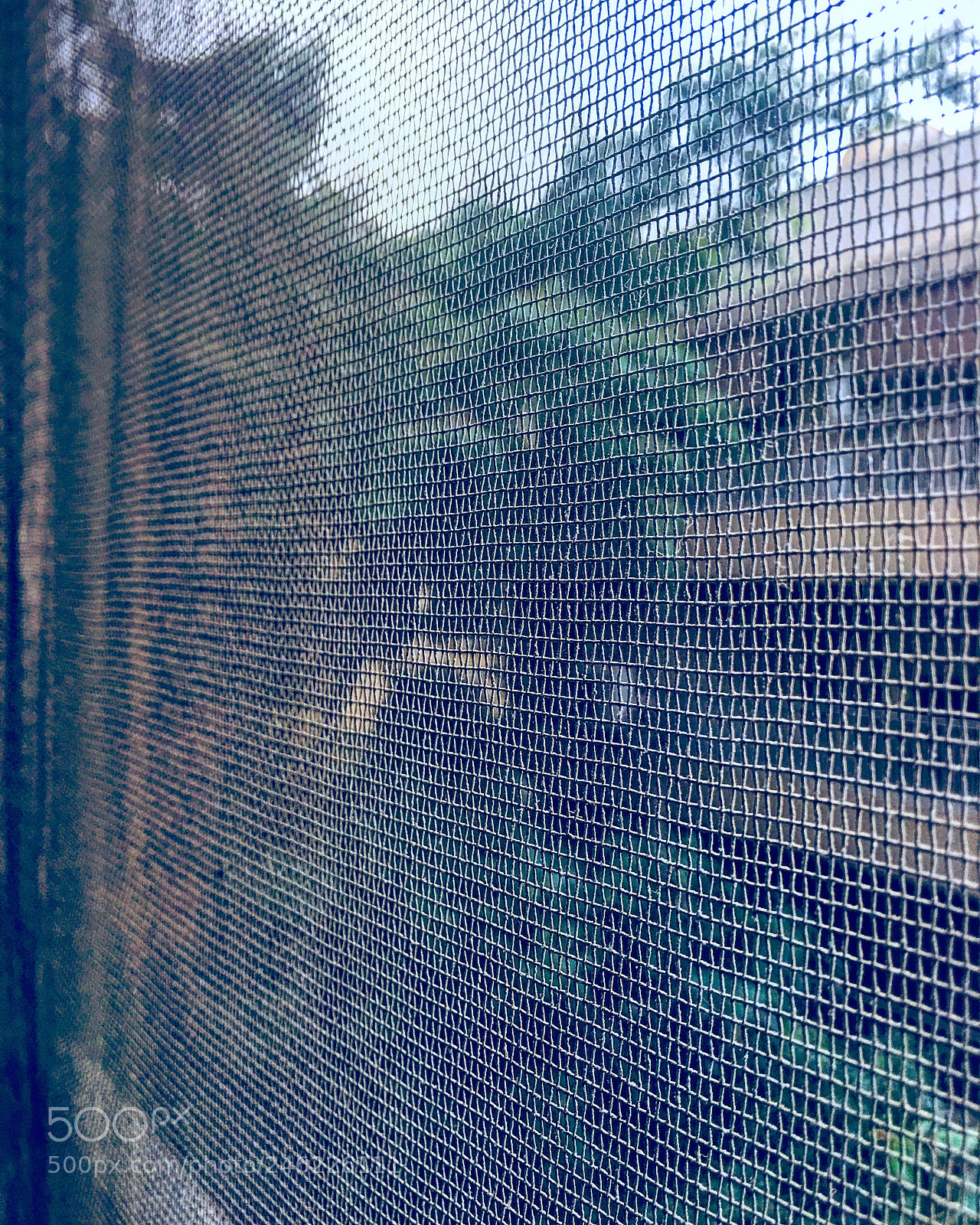 Apple iPhone 6s Plus sample photo. Untitled photography