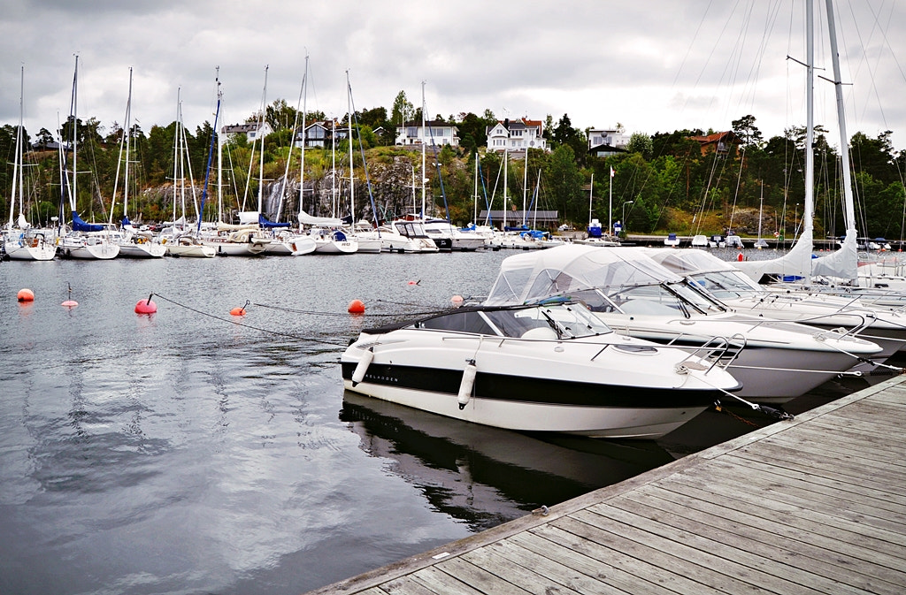 Nikon D5000 sample photo. On lidingö photography