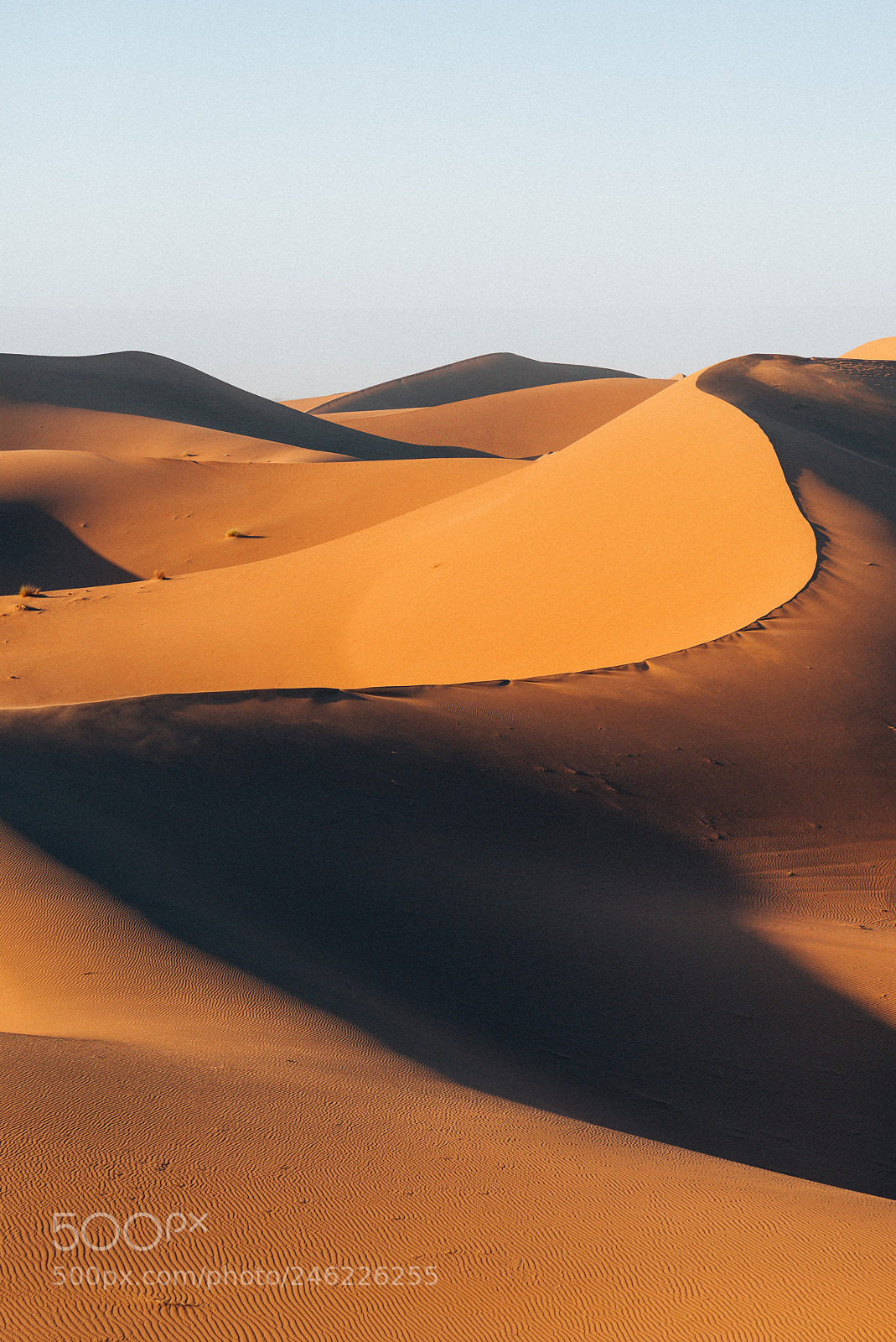 Leica M (Typ 240) sample photo. Morocco, january 2018 photography