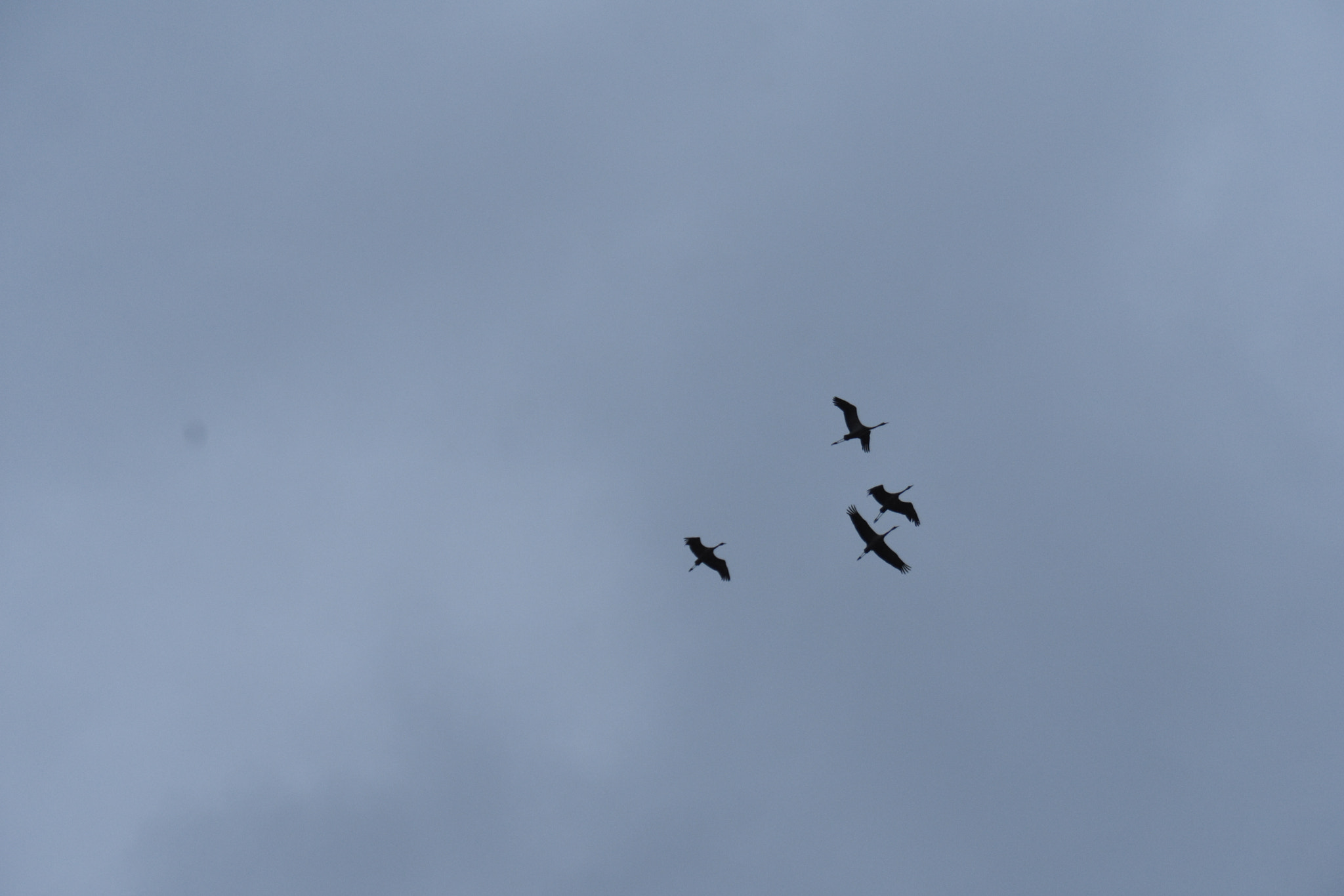 Nikon D7200 sample photo. Observatoire de saint martin de seignanx photography
