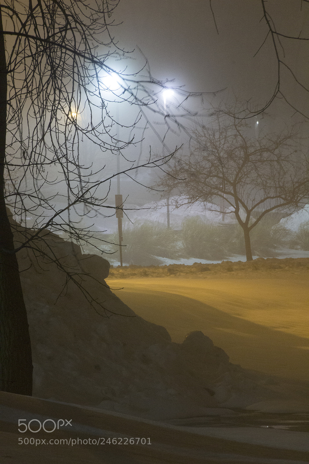 Canon EOS 1200D (EOS Rebel T5 / EOS Kiss X70 / EOS Hi) sample photo. Trees and foggy snowscape photography