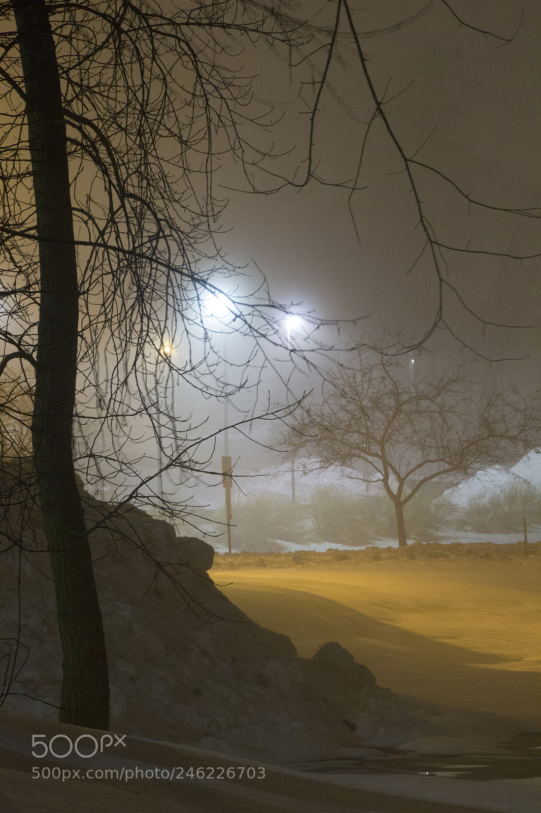 Canon EOS 1200D (EOS Rebel T5 / EOS Kiss X70 / EOS Hi) sample photo. Trees and foggy snowscape photography