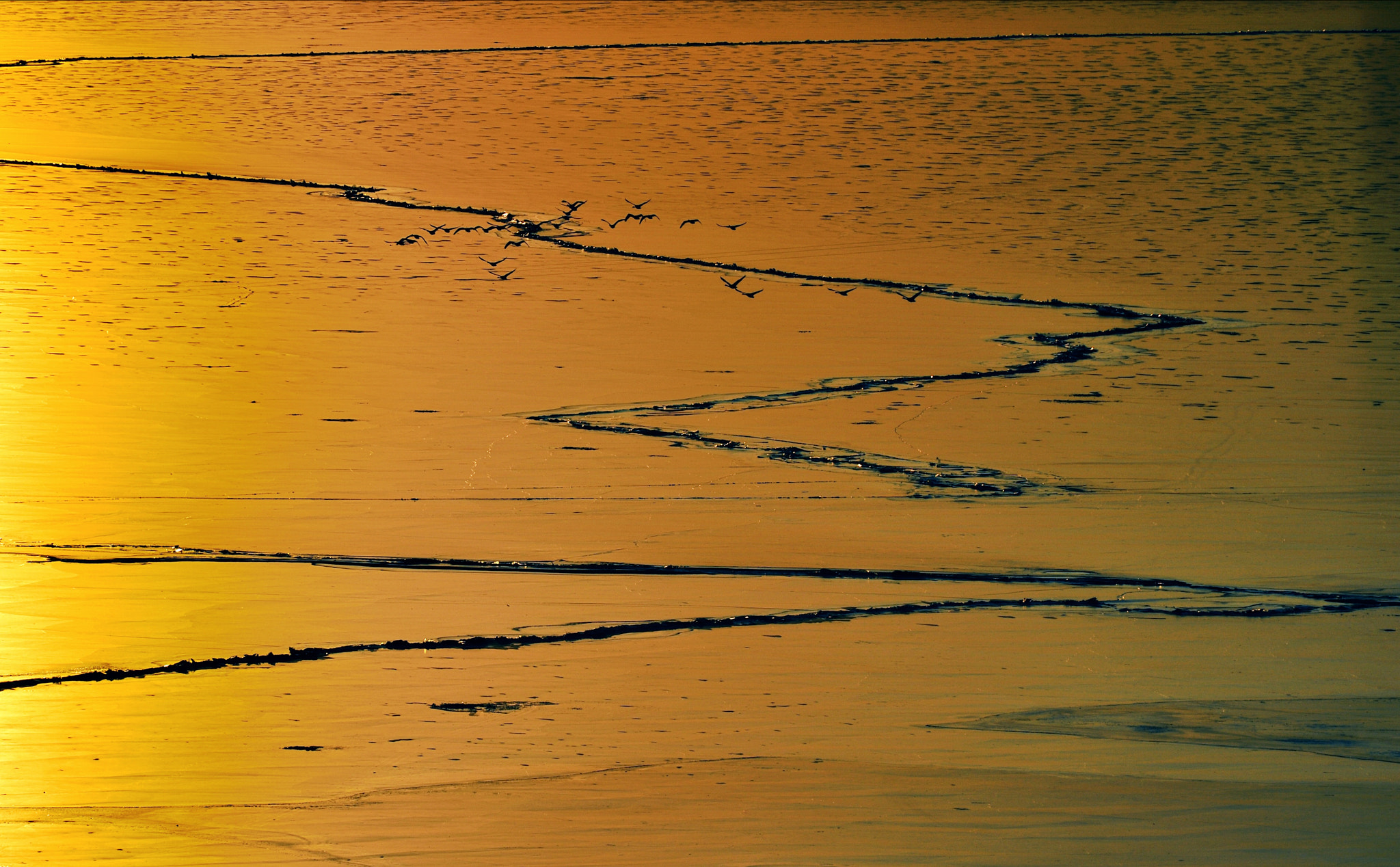 Nikon AF-S Nikkor 70-200mm F2.8G ED VR II sample photo. Good morning sunshine gold photography